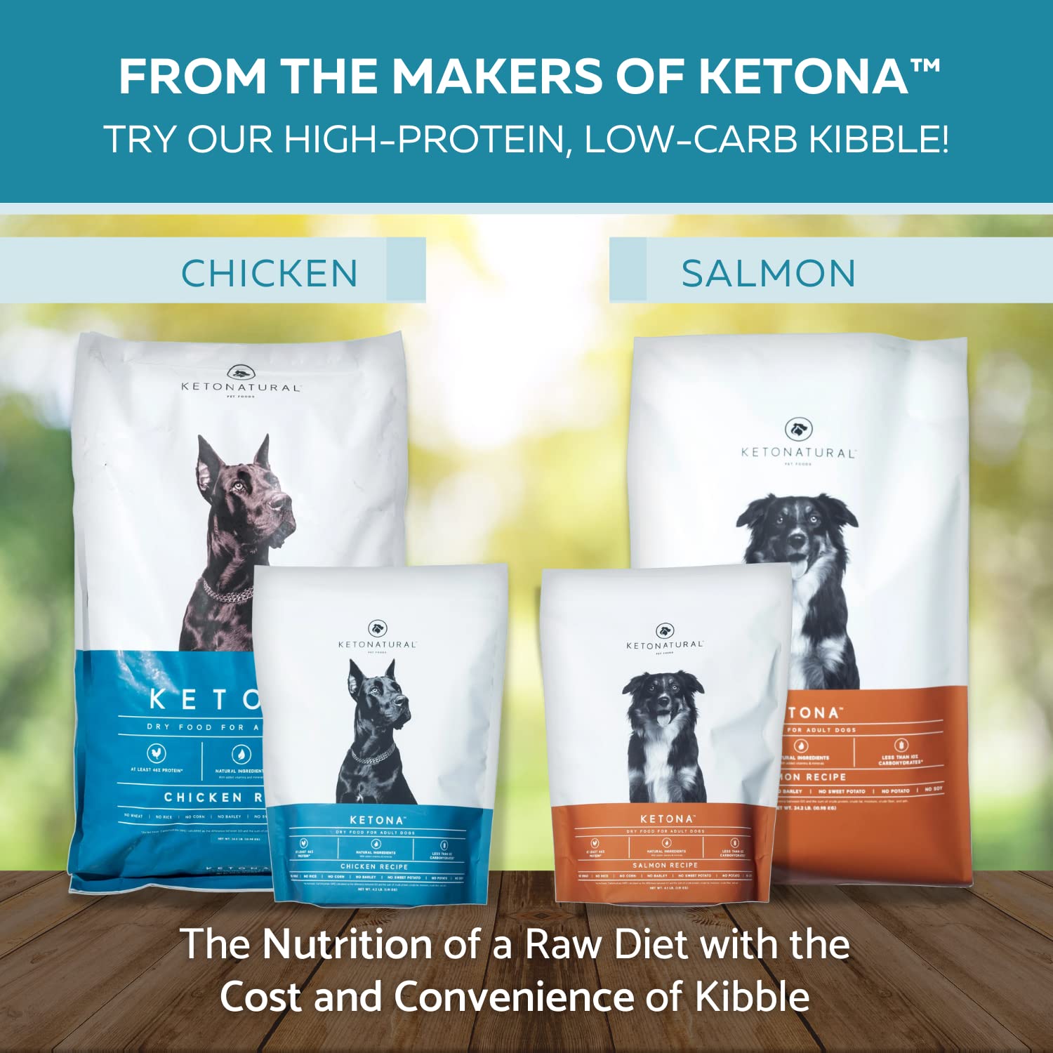 Ketona family treats with dog enjoying after a walk