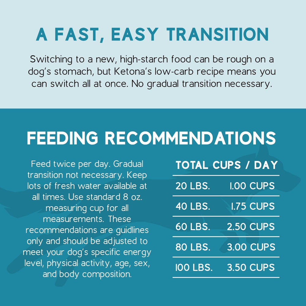 Ketona Salmon Recipe grain-free formula suited for digestion-friendly dogs
