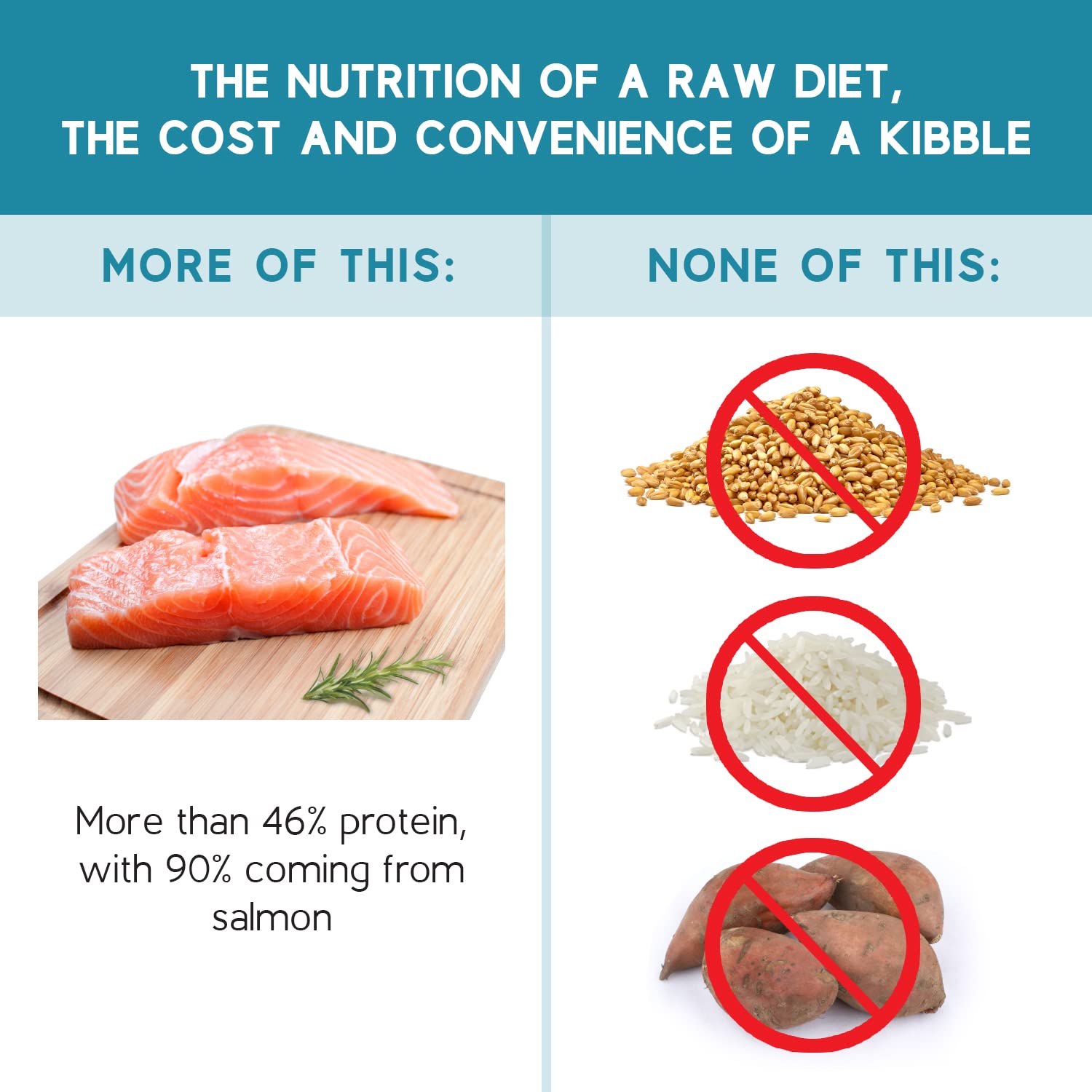 Ketona Salmon Recipe natural ingredients featuring real salmon for protein-rich meals