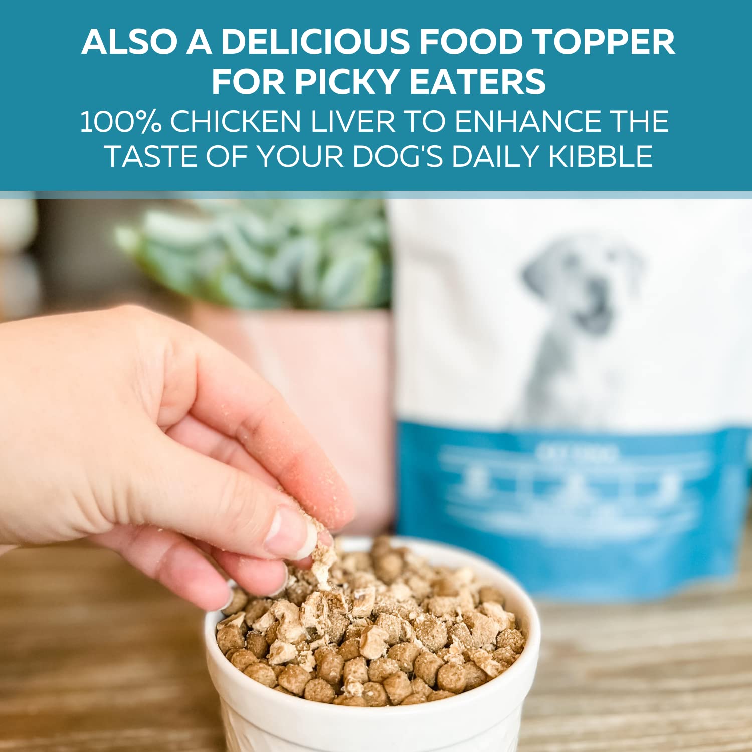 Ketona treat jar label shows no preservatives, fillers, dyes, or artificial flavors
