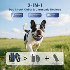 Ketwini receiver collar shown ready for effective remote training.