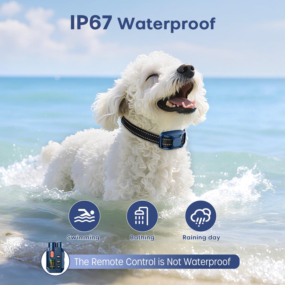 Ketwini IP67 waterproof dog collar designed for all-weather use.