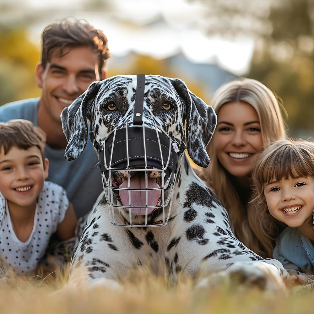 KEUYE Large-dog compatibility muzzle suits Great Danes, Rottweilers, and mastiffs.