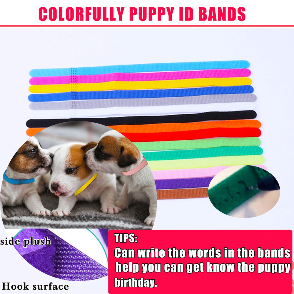 Kewen digital thermometer helps quick basic health checks during whelping.