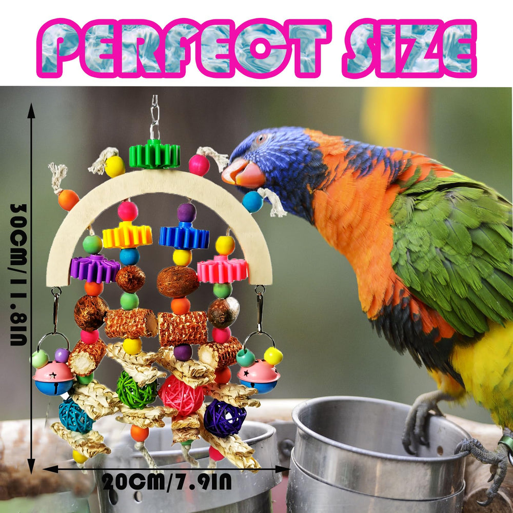 Kewkont bright-colors-texture closeup reveals varied textures to sustain parrot curiosity.