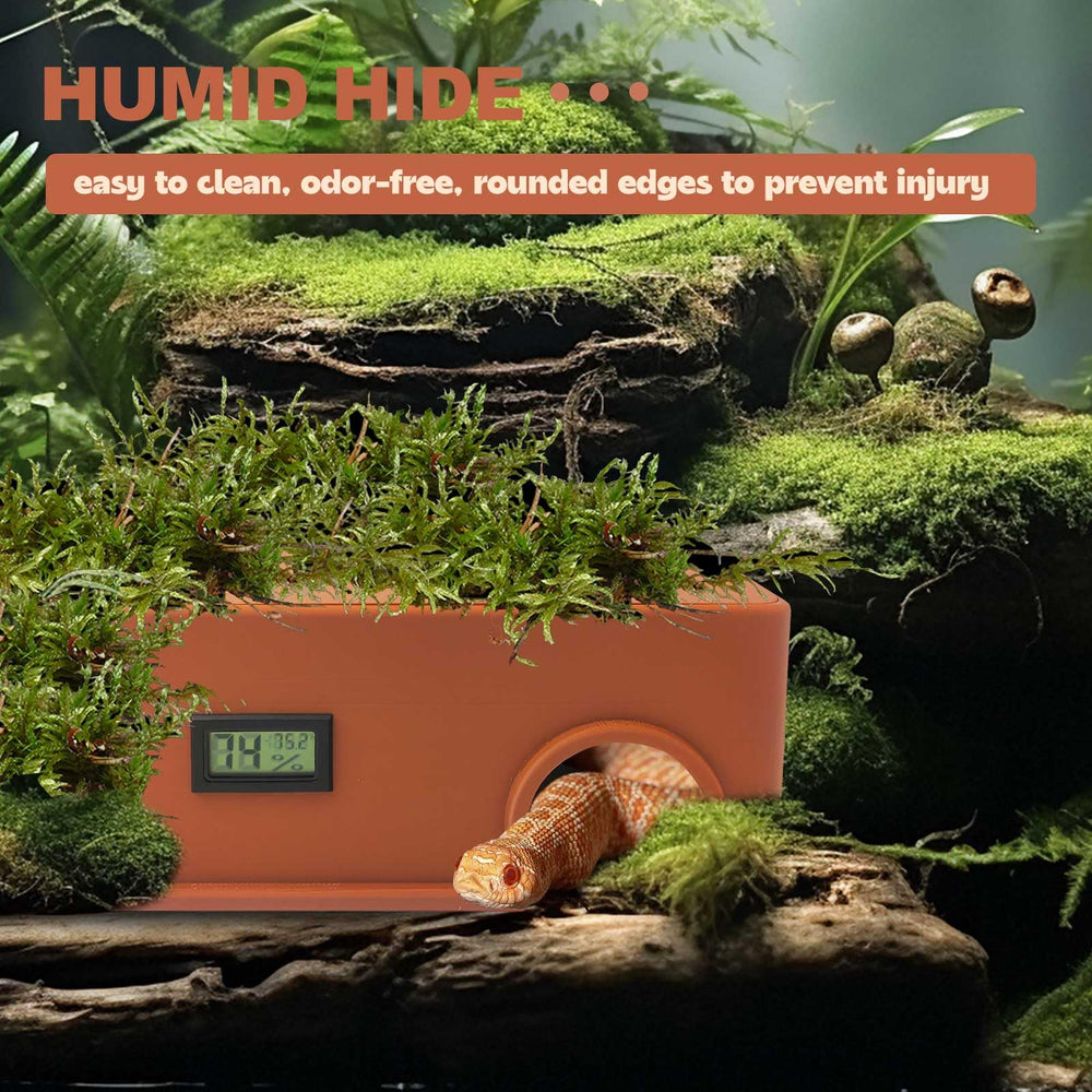 KFPSHLQE reptile hide sensor display lets you monitor conditions.