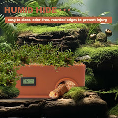 KFPSHLQE reptile hide sensor display lets you monitor conditions.