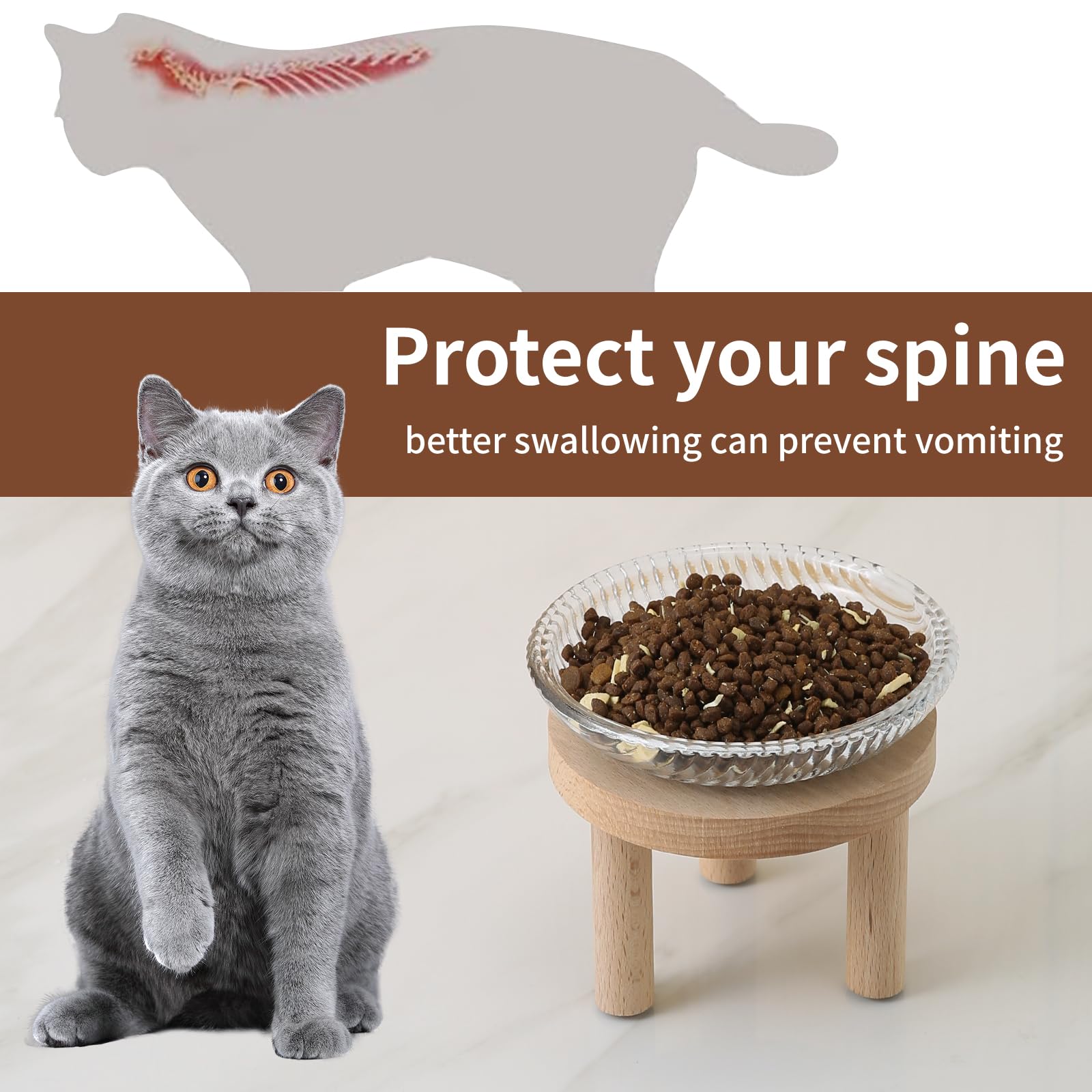 KGCCIZI two-height adjustable bowl helps kittens and adults eat comfortably.