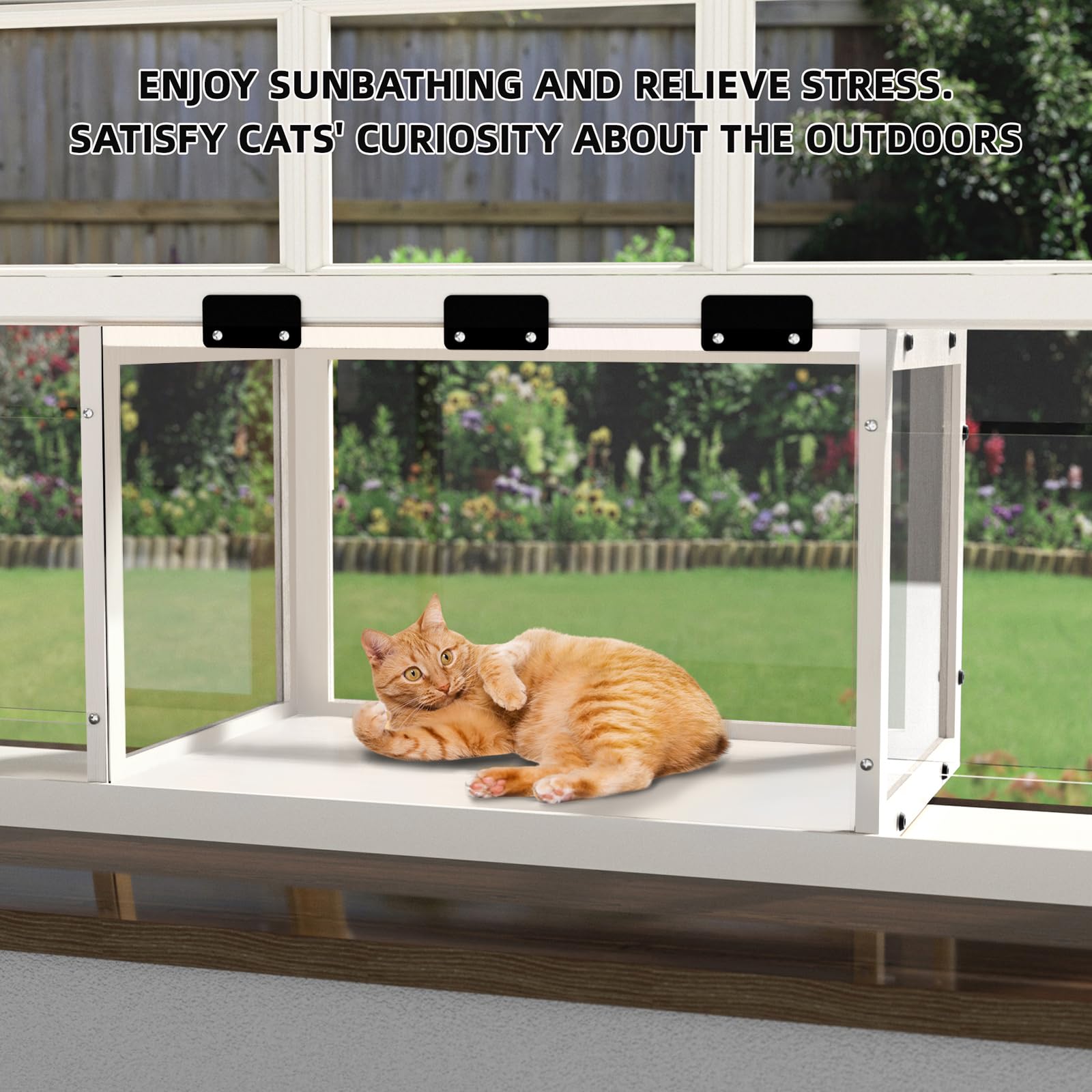 KGCCIZI Window Cat Perch Catio supports two adult cats with a solid build.