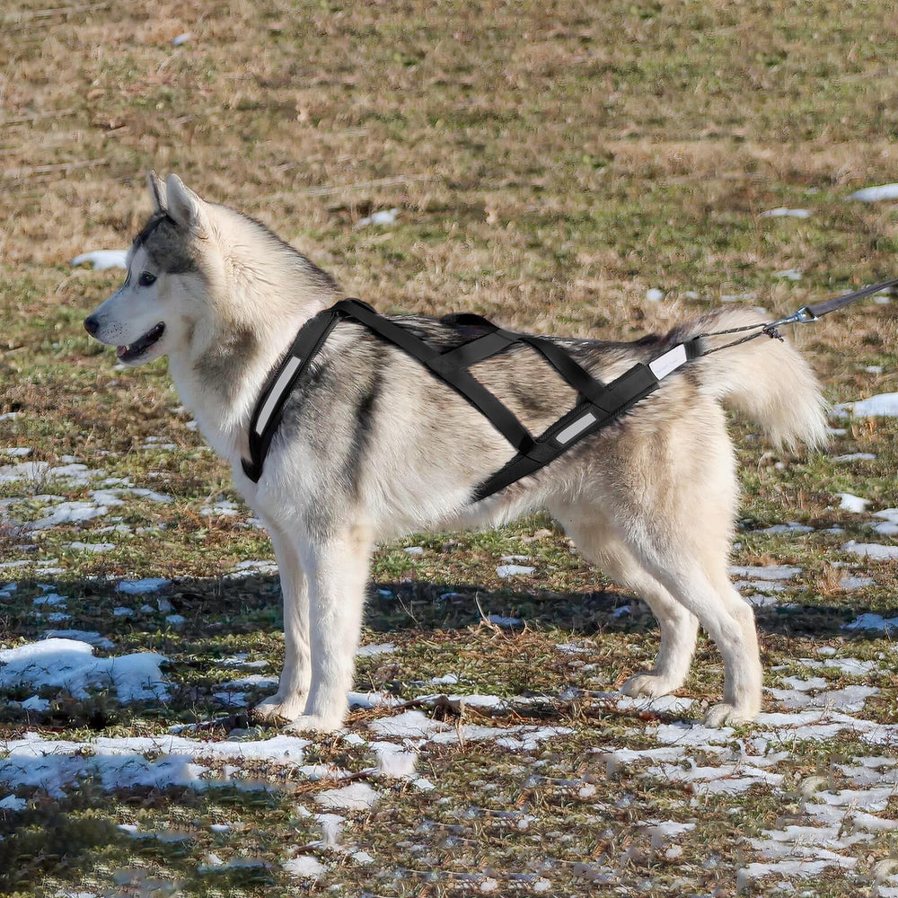KH866 padded shoulder straps illustrating comfortable fit during pulls
