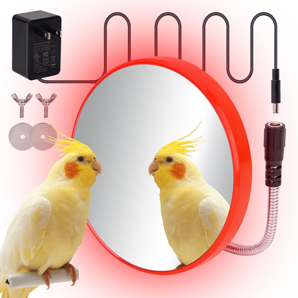 KHEARPSL Bird Heater with mirror in cage encourages interaction.