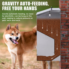 KHEARPSL floor-placement dog feeder provides stable access for large dogs.