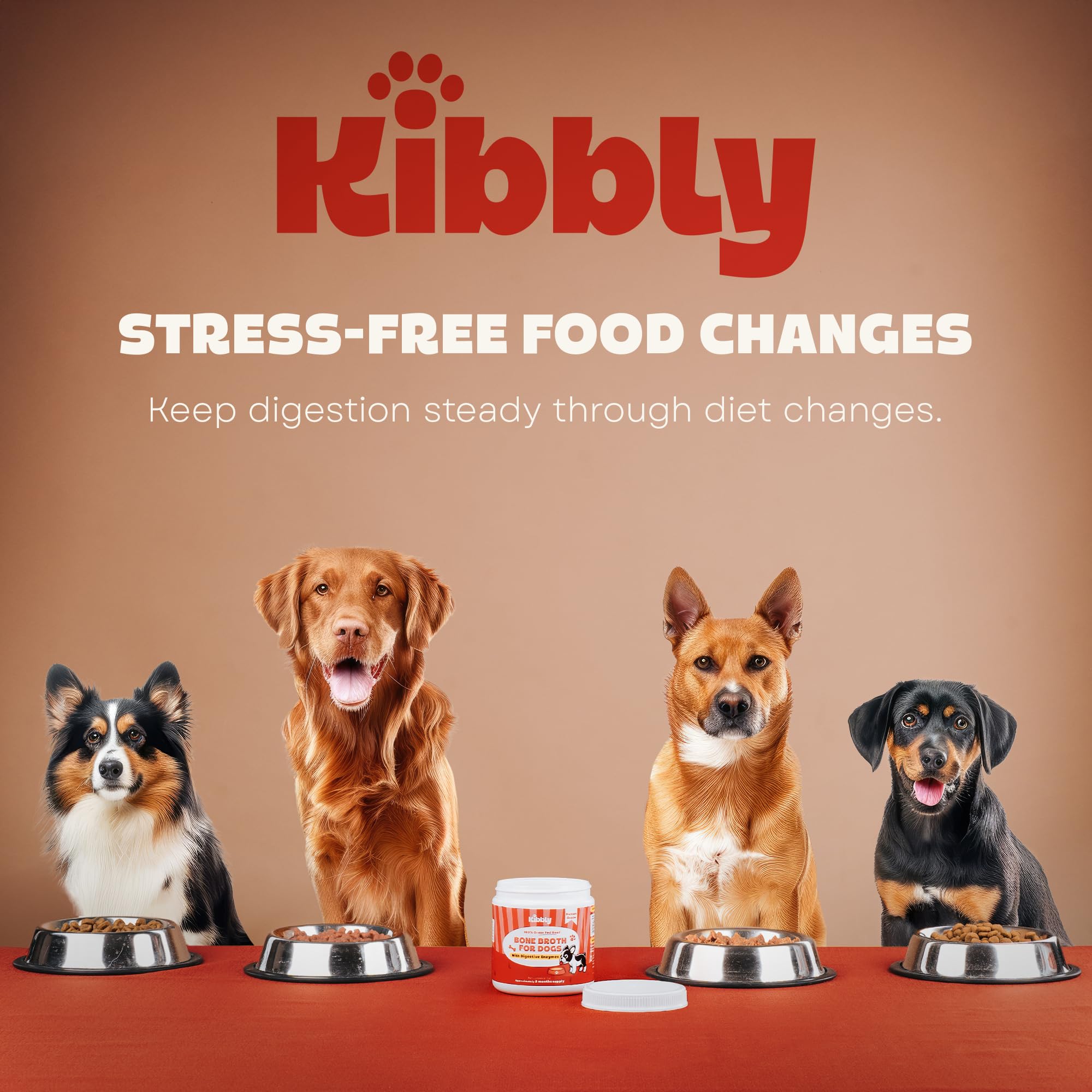 Kibbly bone broth improves comfort after meals with enzymes.