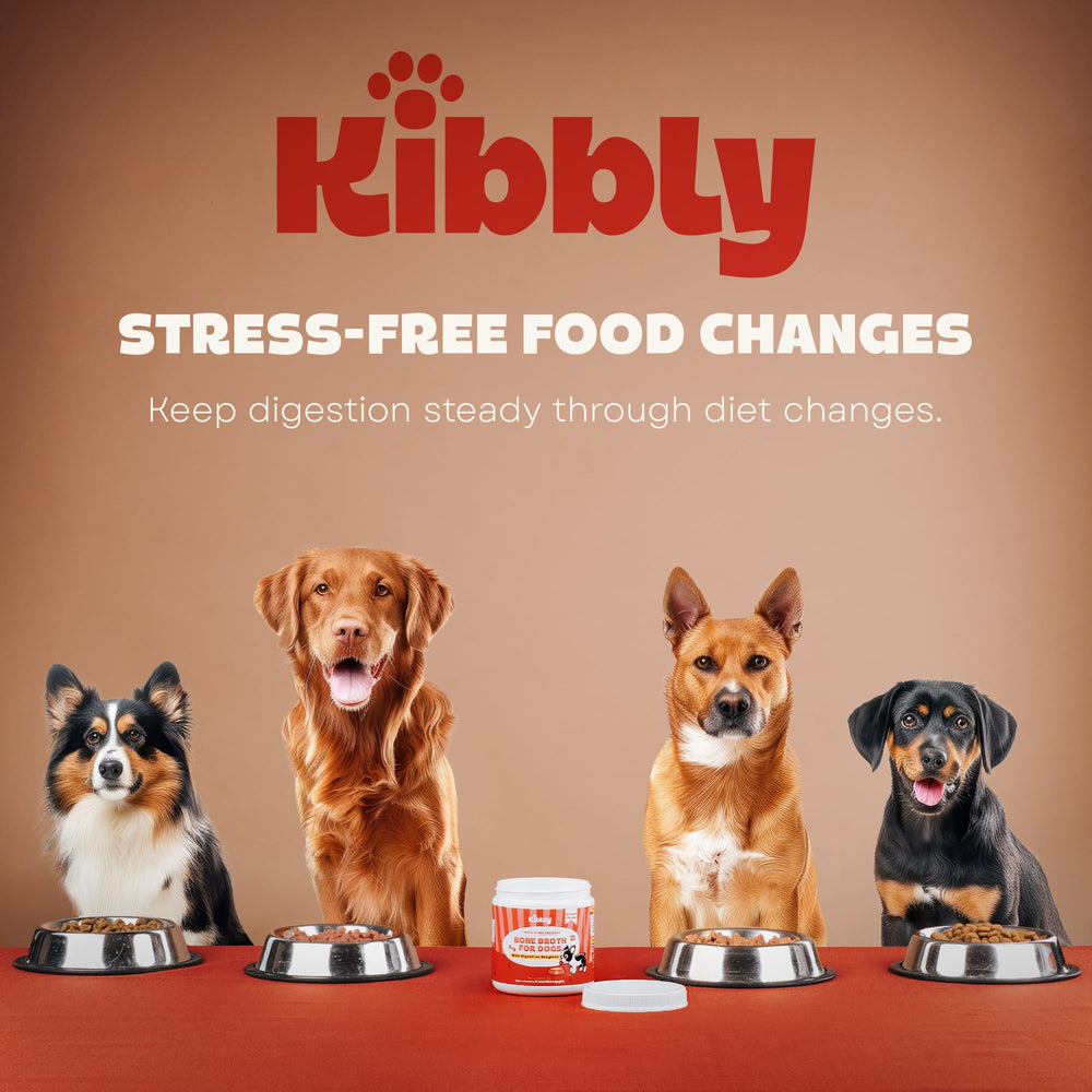 Kibbly bone broth improves comfort after meals with enzymes.