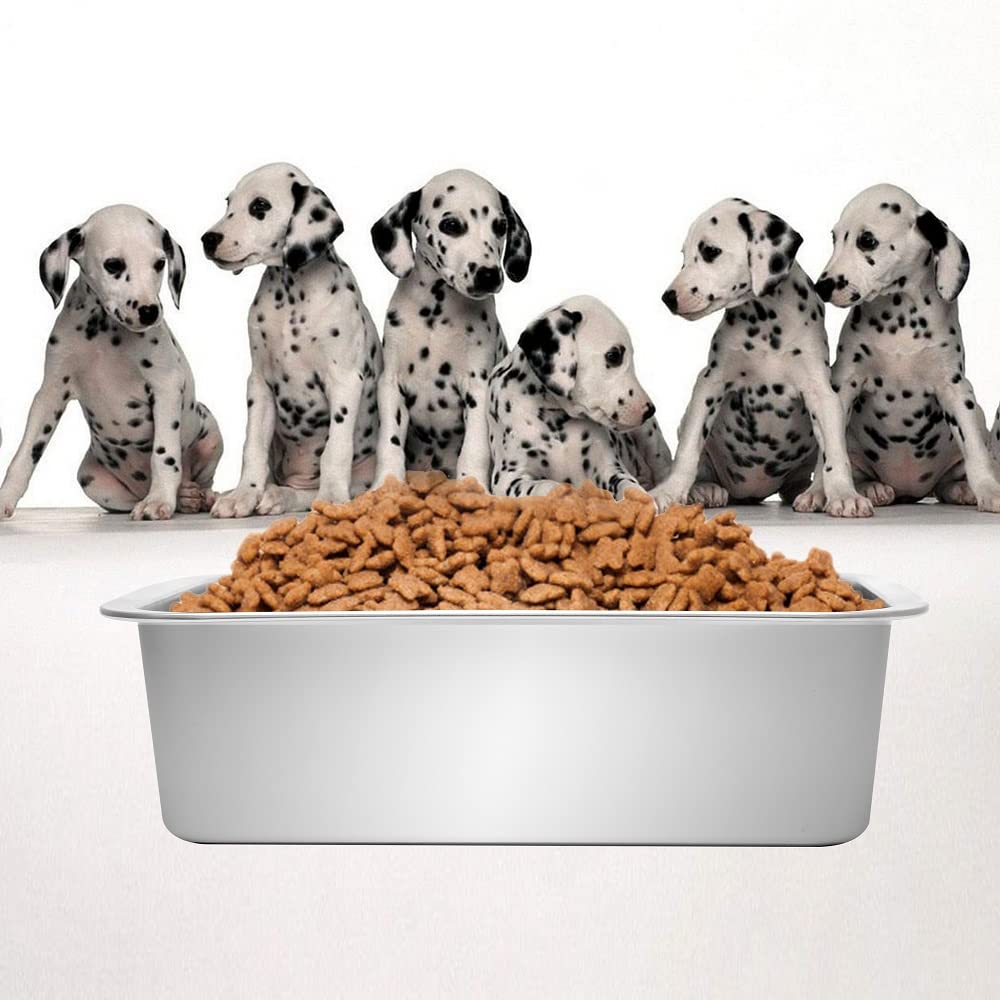 Kichwit large-capacity bowl supports multi-dog households with easy portioning.