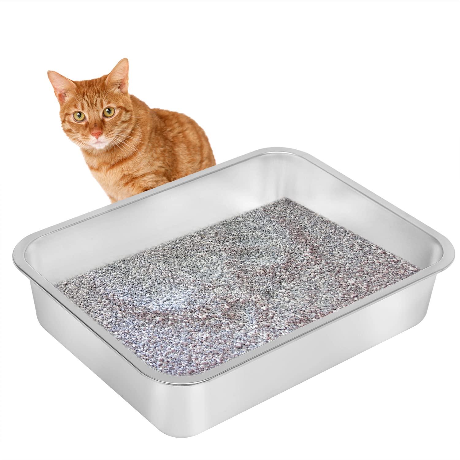 kichwit stainless steel cat litter box rounded edges design for safe entry ideal for kittens