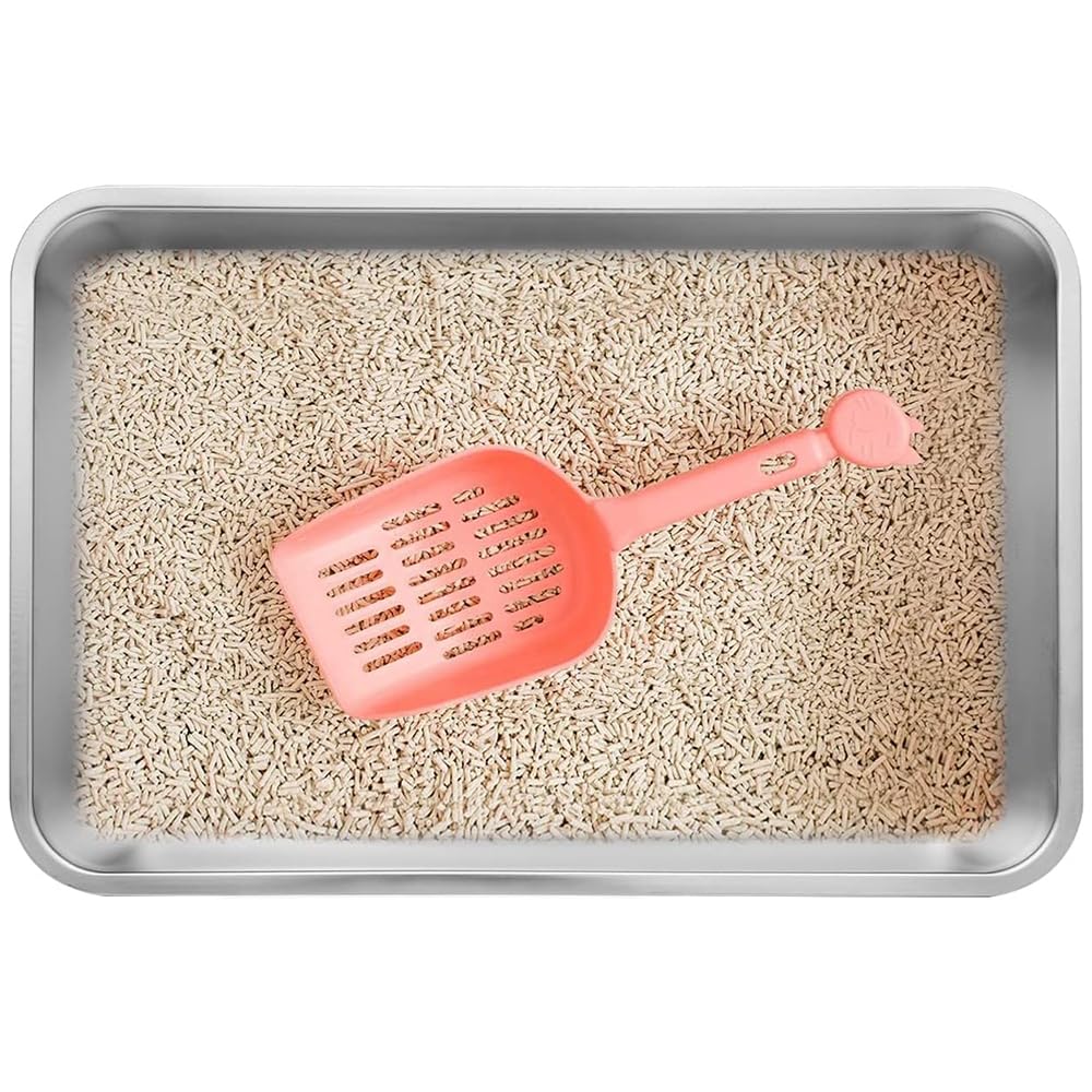 Kichwit stainless steel litter box rounded edges safe to handle.