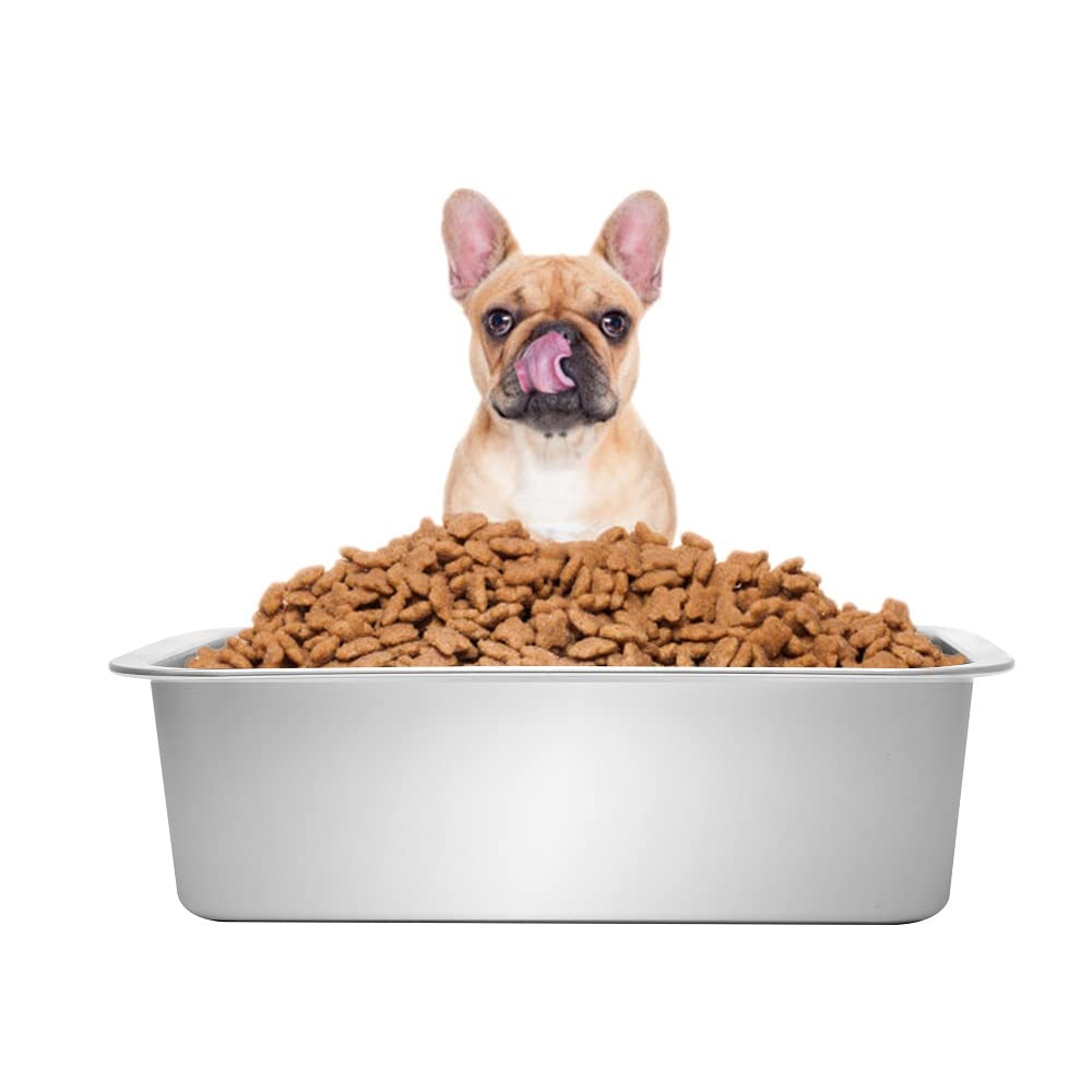 Kichwit durable dishwasher-safe bowl doubles as a water dish when needed.