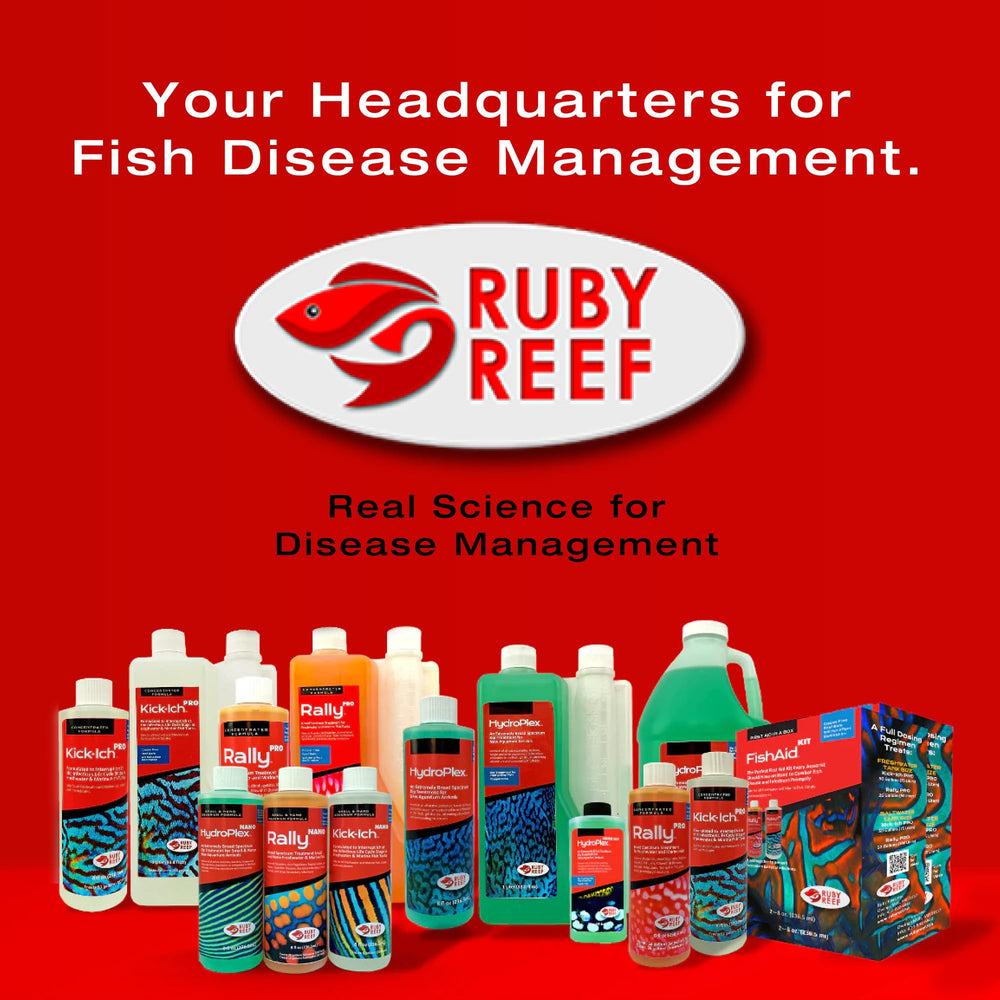 Ich management friendly in-tank use scenario with Ruby Reef Kick Ich Pro.