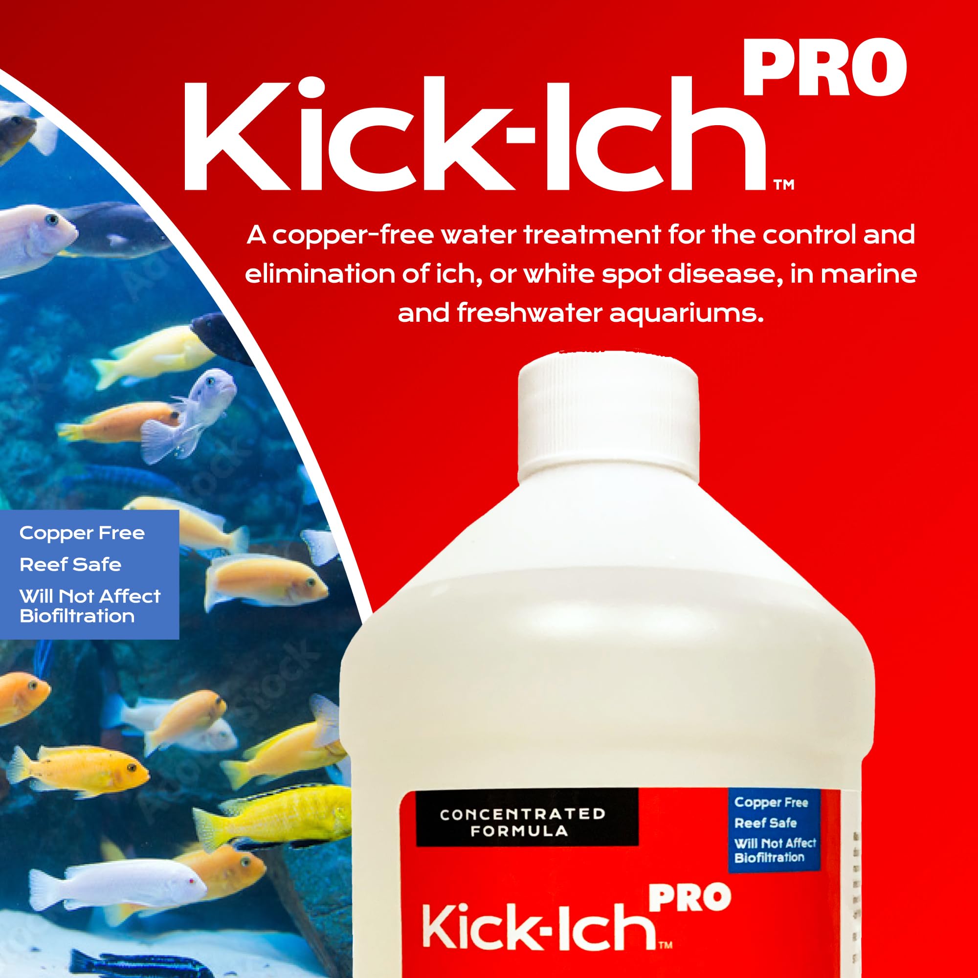 Kick Ich Pro tank view demonstrates compatibility with reef environments and routine maintenance.