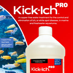 Kick Ich Pro tank view demonstrates compatibility with reef environments and routine maintenance.