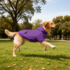 Kickred Basic Dog Hoodie front view shows stylish four-season dog apparel