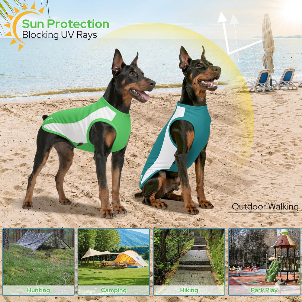 Kickred dog shirt blue-white pack illustrates a versatile two-pack for daily wear.