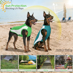 Kickred dog shirt blue-white pack illustrates a versatile two-pack for daily wear.