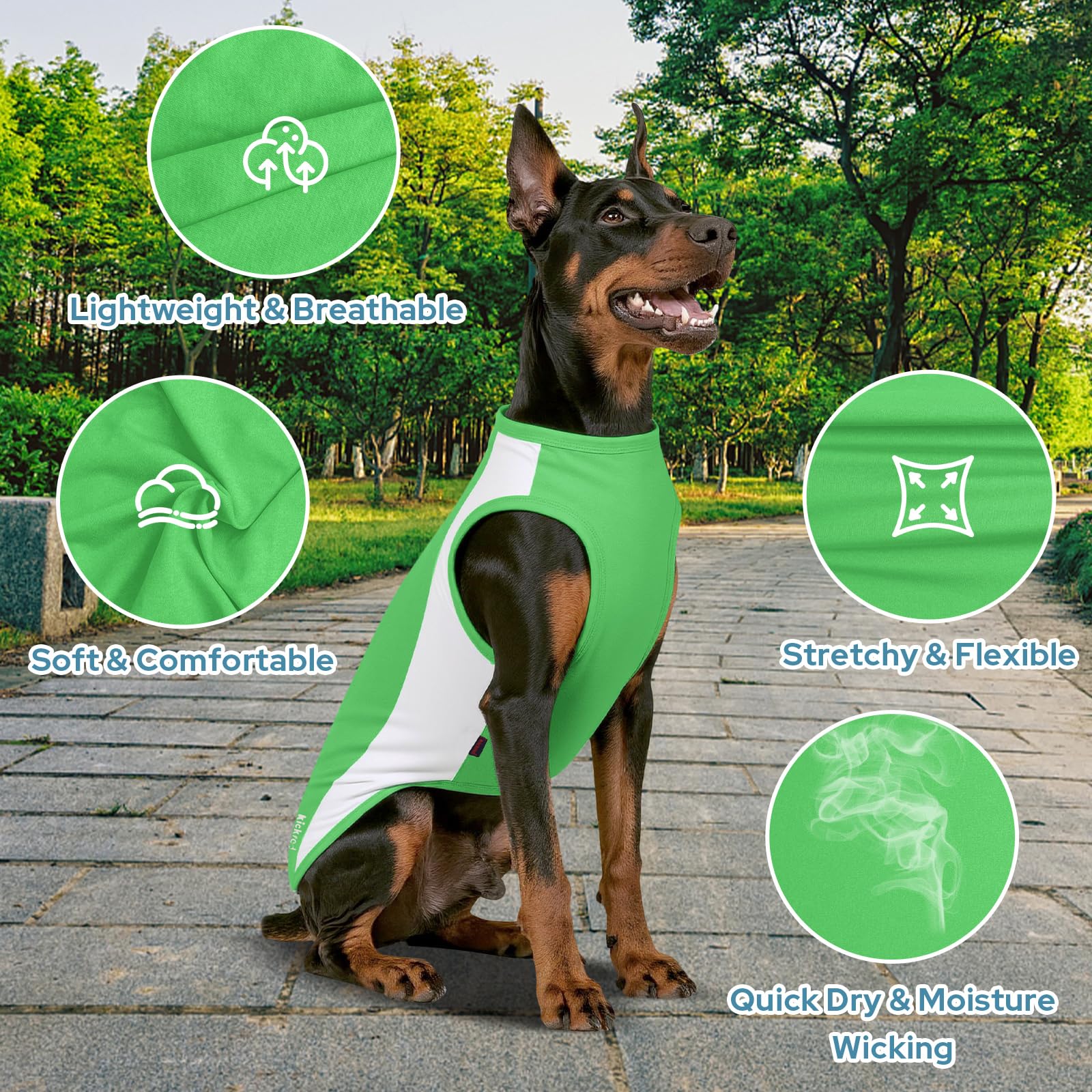 Kickred sun-protection dog shirt demonstrates UV protection during outdoor play.