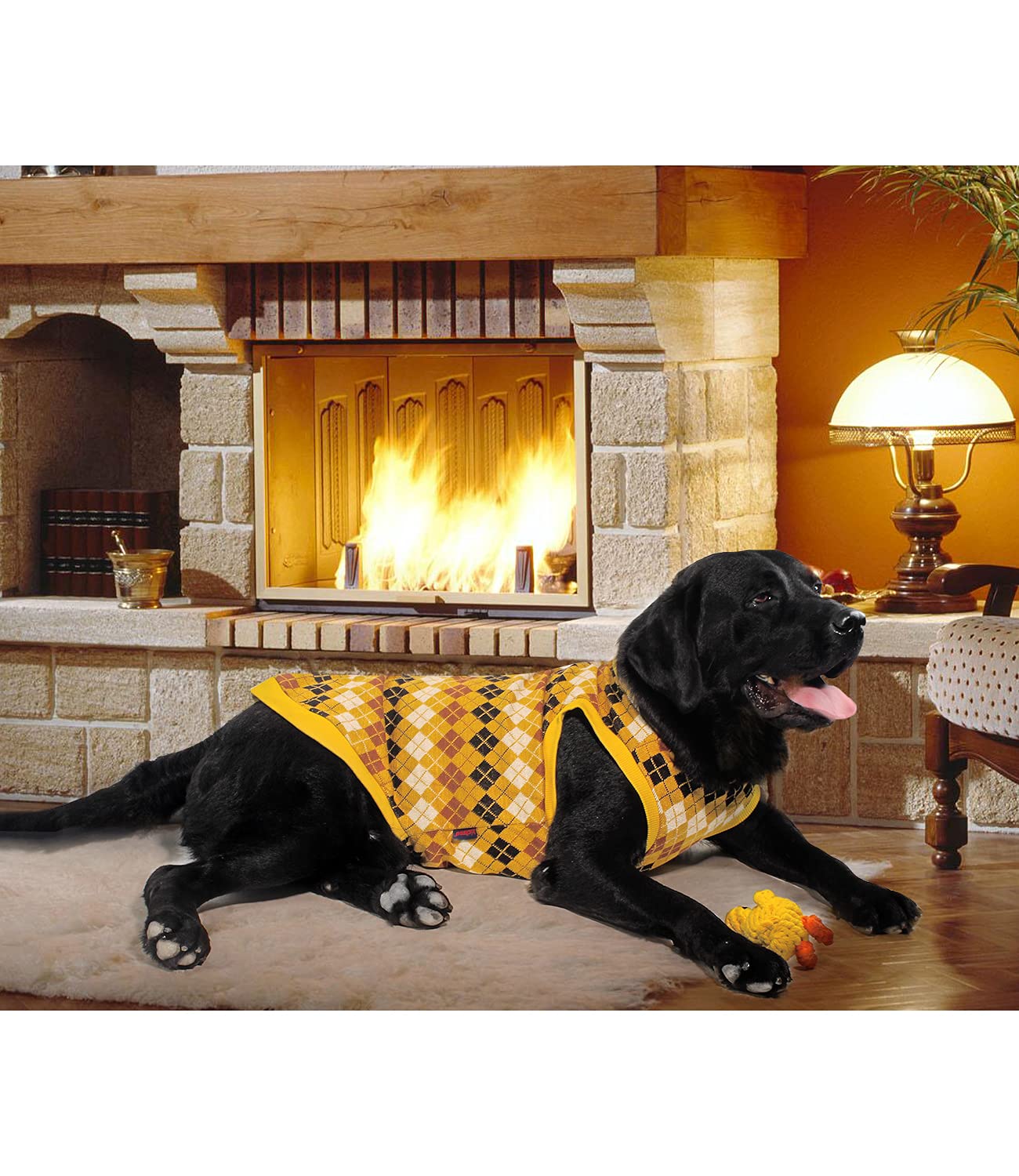 Kickred dog sweater holiday ready yellow grid pattern for Christmas outfits