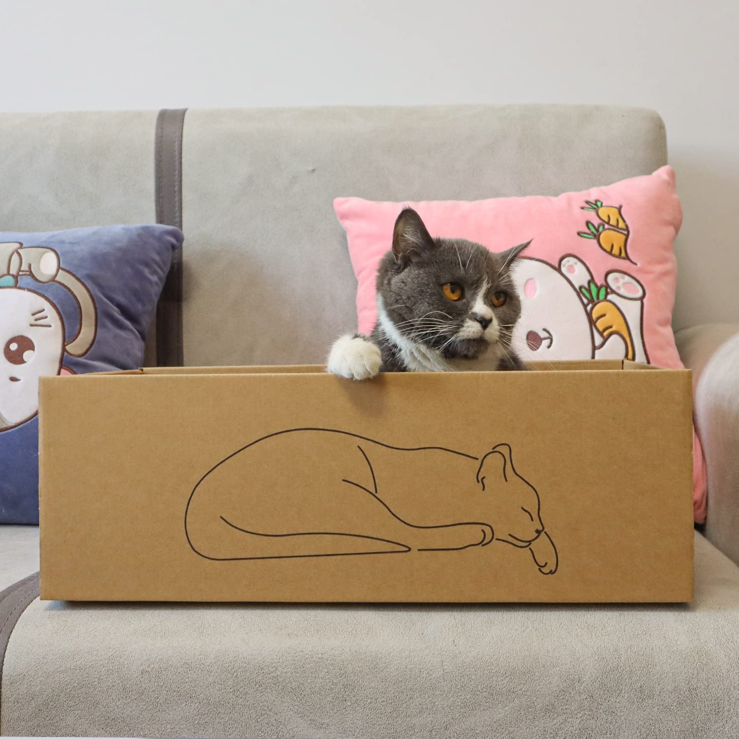 Kidding Pets bed and hide spots cat scratcher image illustrates a cozy retreat.
