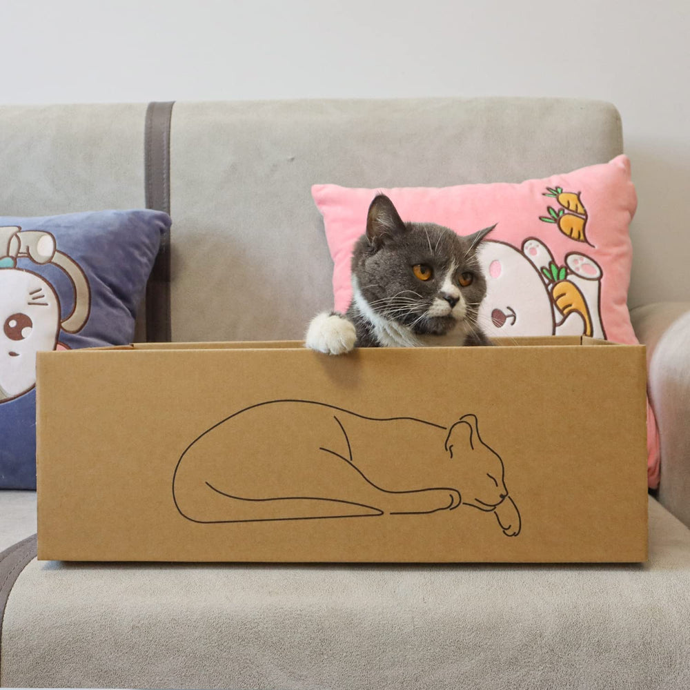 Kidding Pets bed and hide spots cat scratcher image illustrates a cozy retreat.