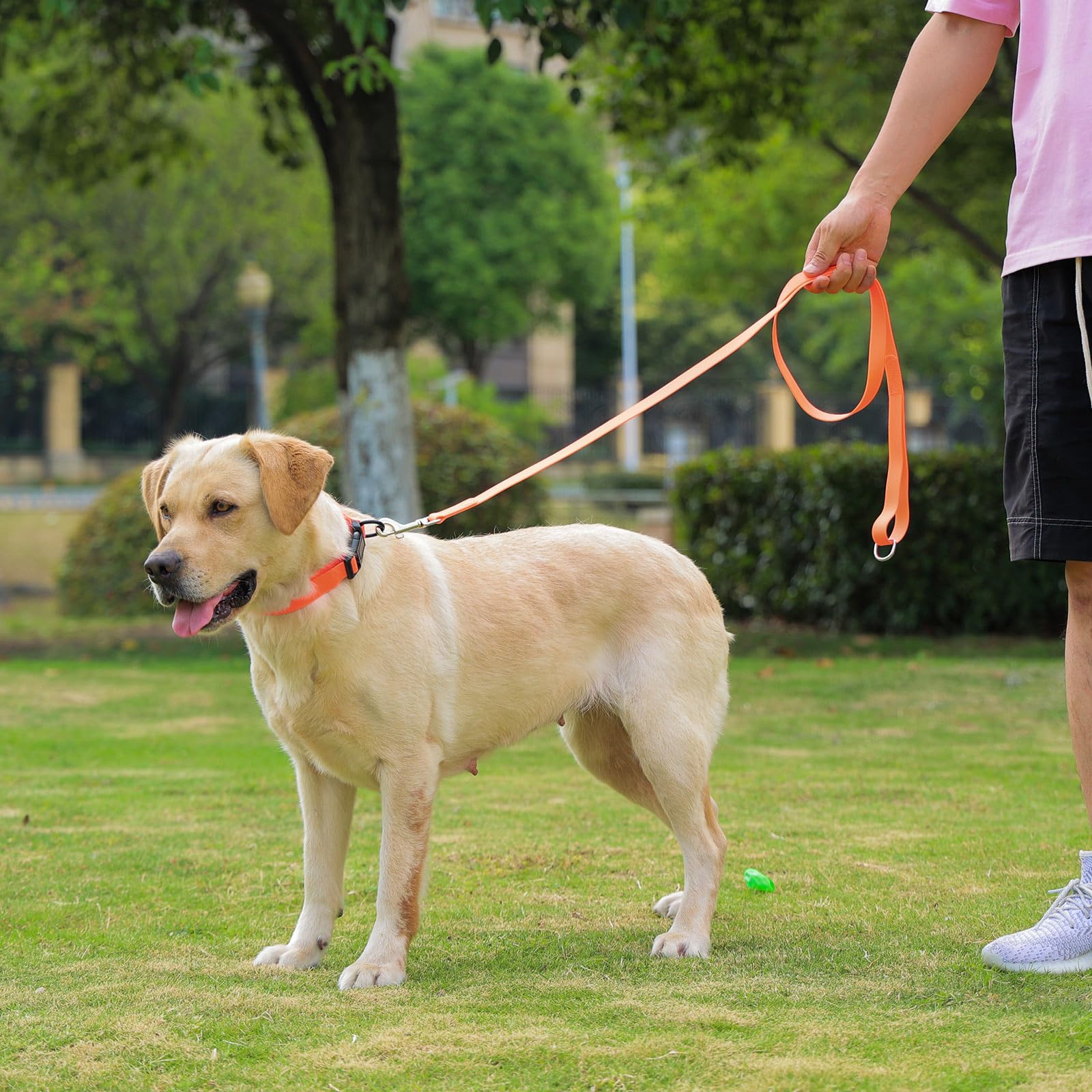 Kidding Pets coated nylon waterproof collar highlights durability and dirt resistance.