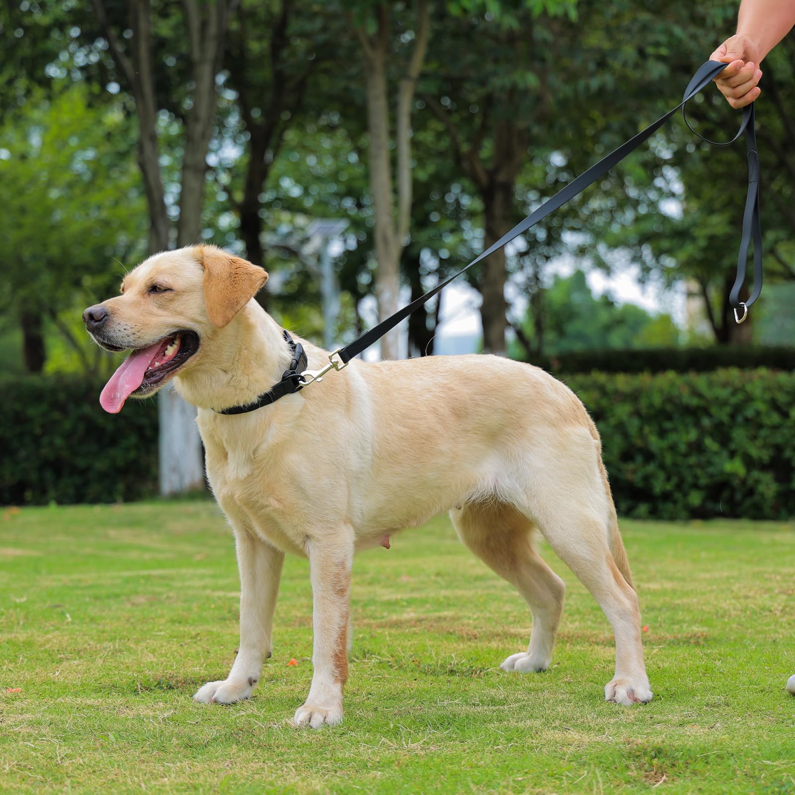 Kidding Pets size-fit-large collar suits small to large dogs.