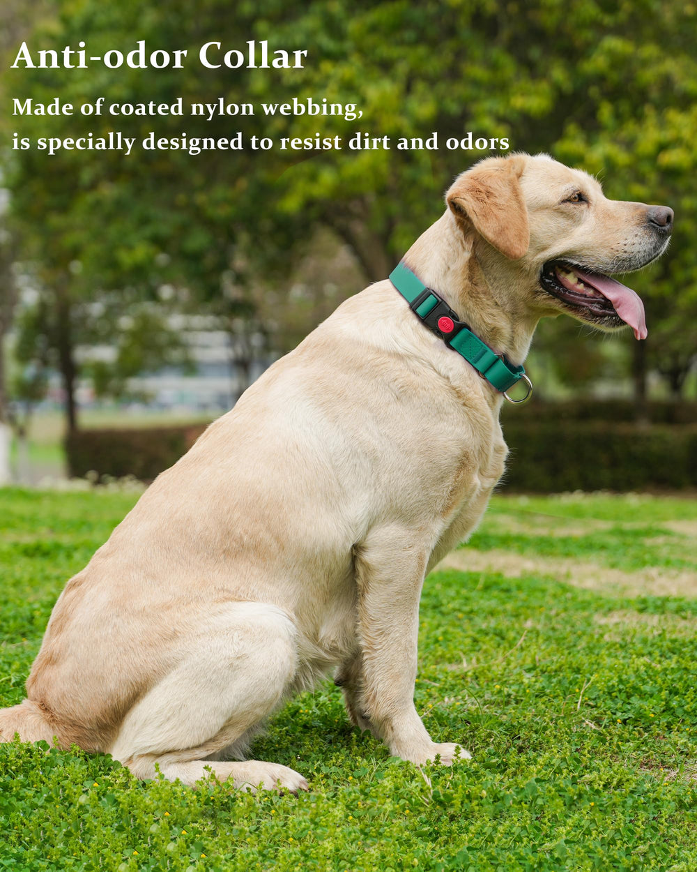 Kidding Pets collar easy-clean with damp cloth after adventures