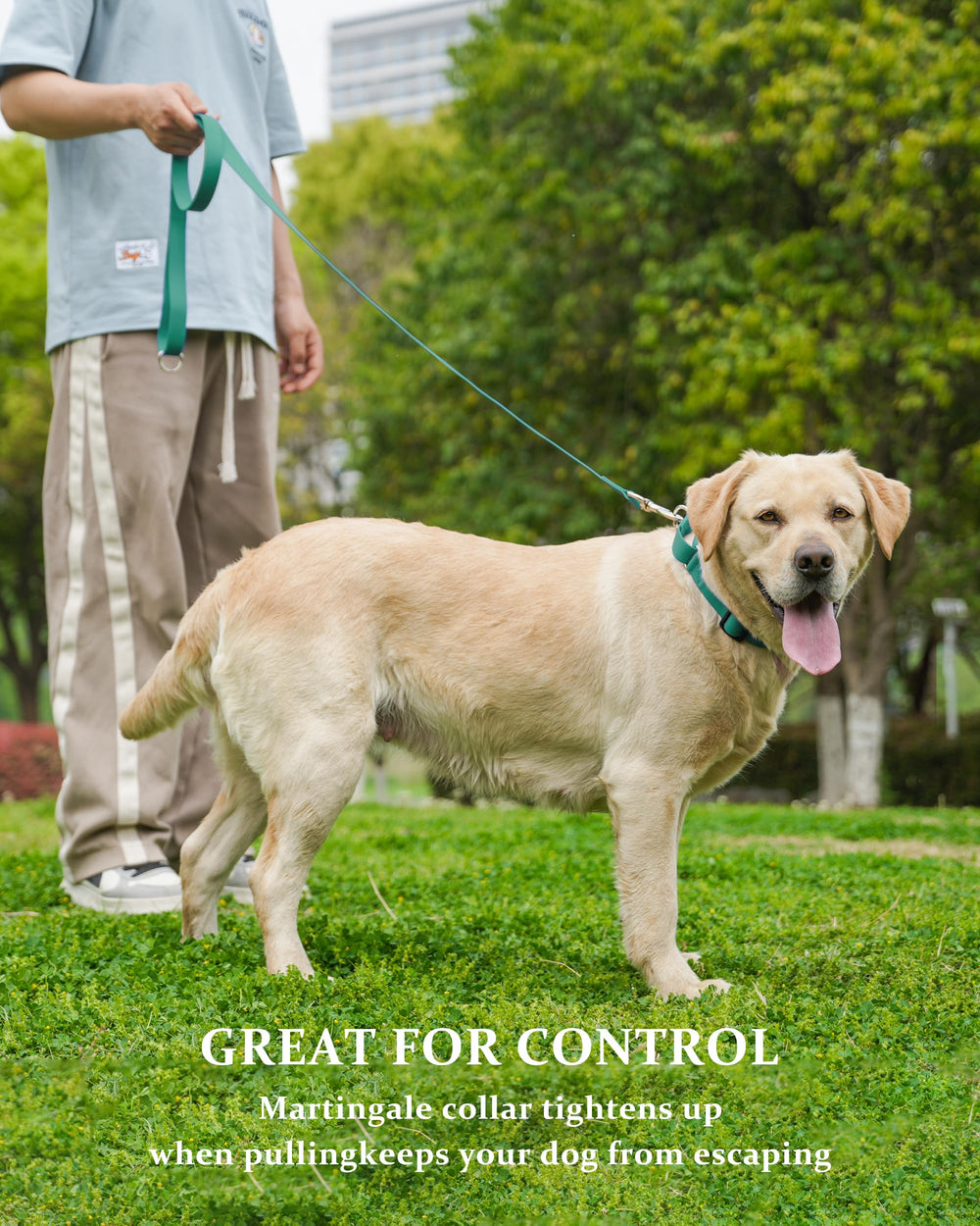 Kidding Pets quick-release buckle collar for quick safety removal