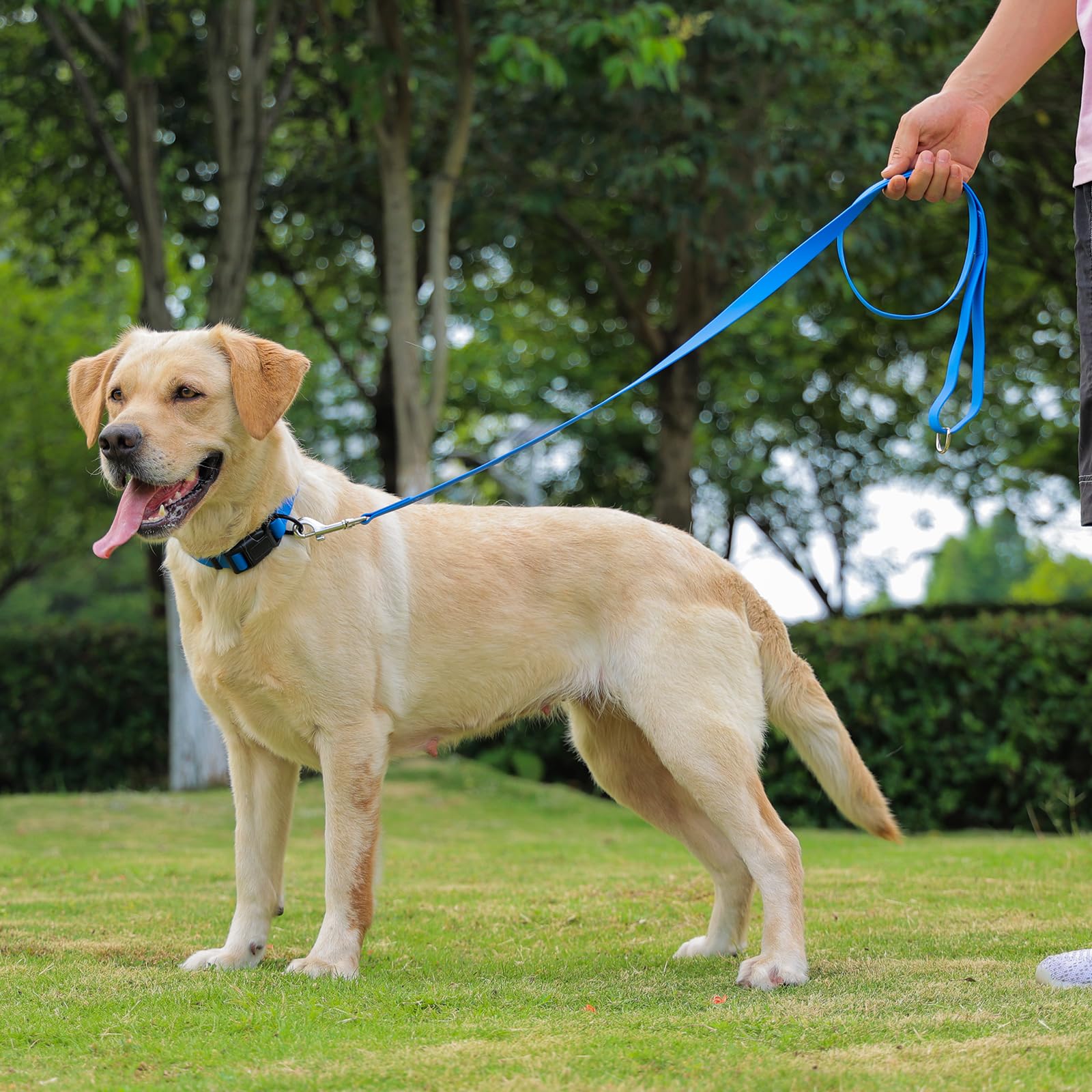 Kidding Pets multi-color sizes collar fits small to large dogs