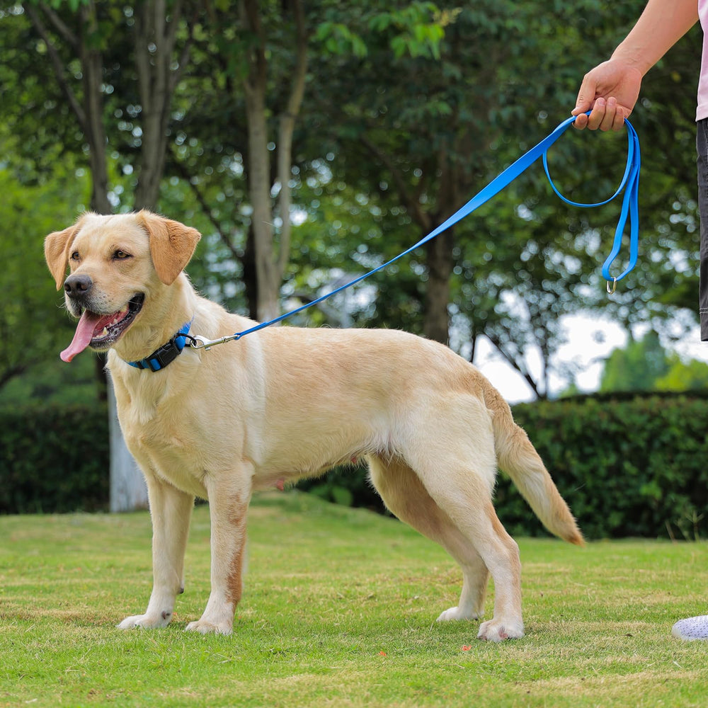 Kidding Pets multi-color sizes collar fits small to large dogs