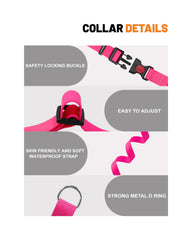 Kidding Pets pink Martingale collar during outdoor walk