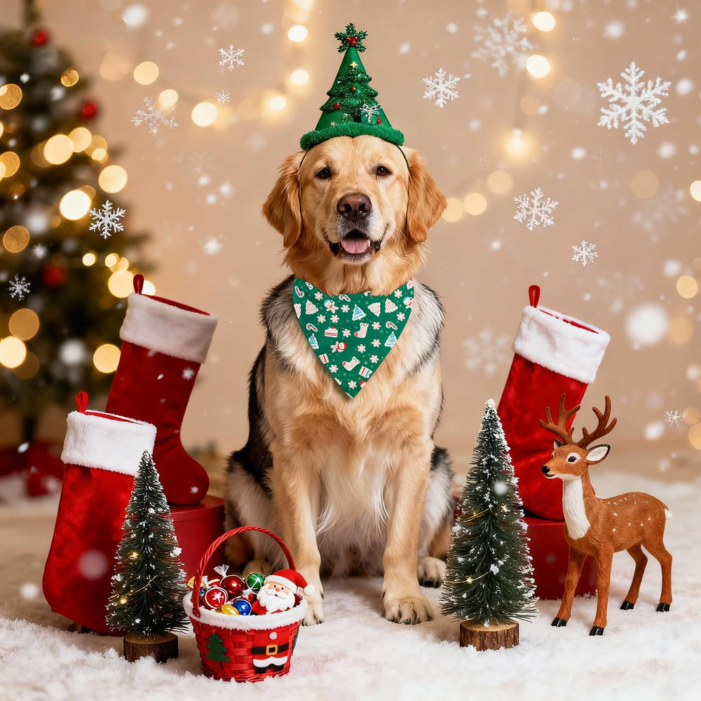 Kidding Pets size chart fitting options help you choose perfect fit.