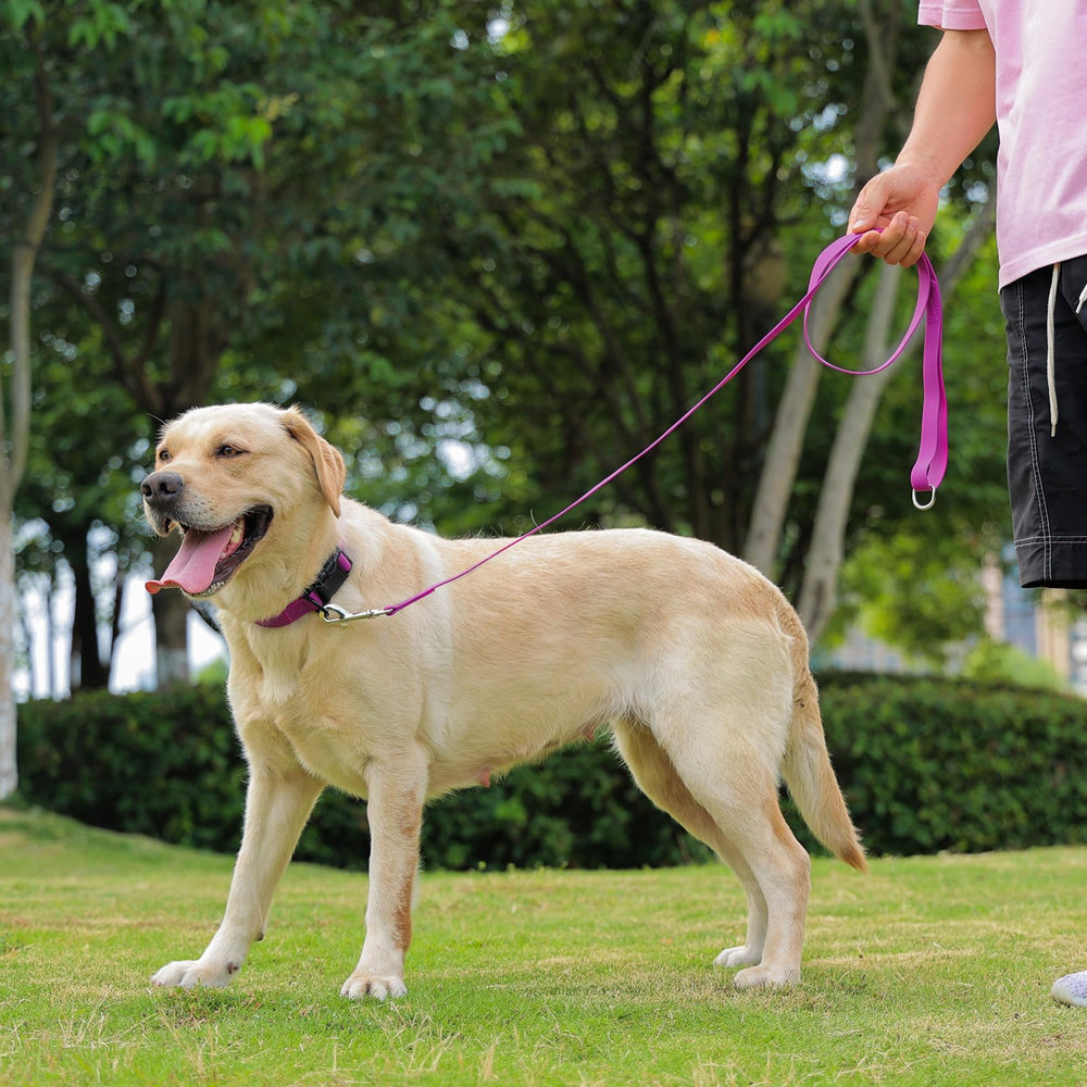 KIDDING PETS size variety purple color to fit small to large dogs.