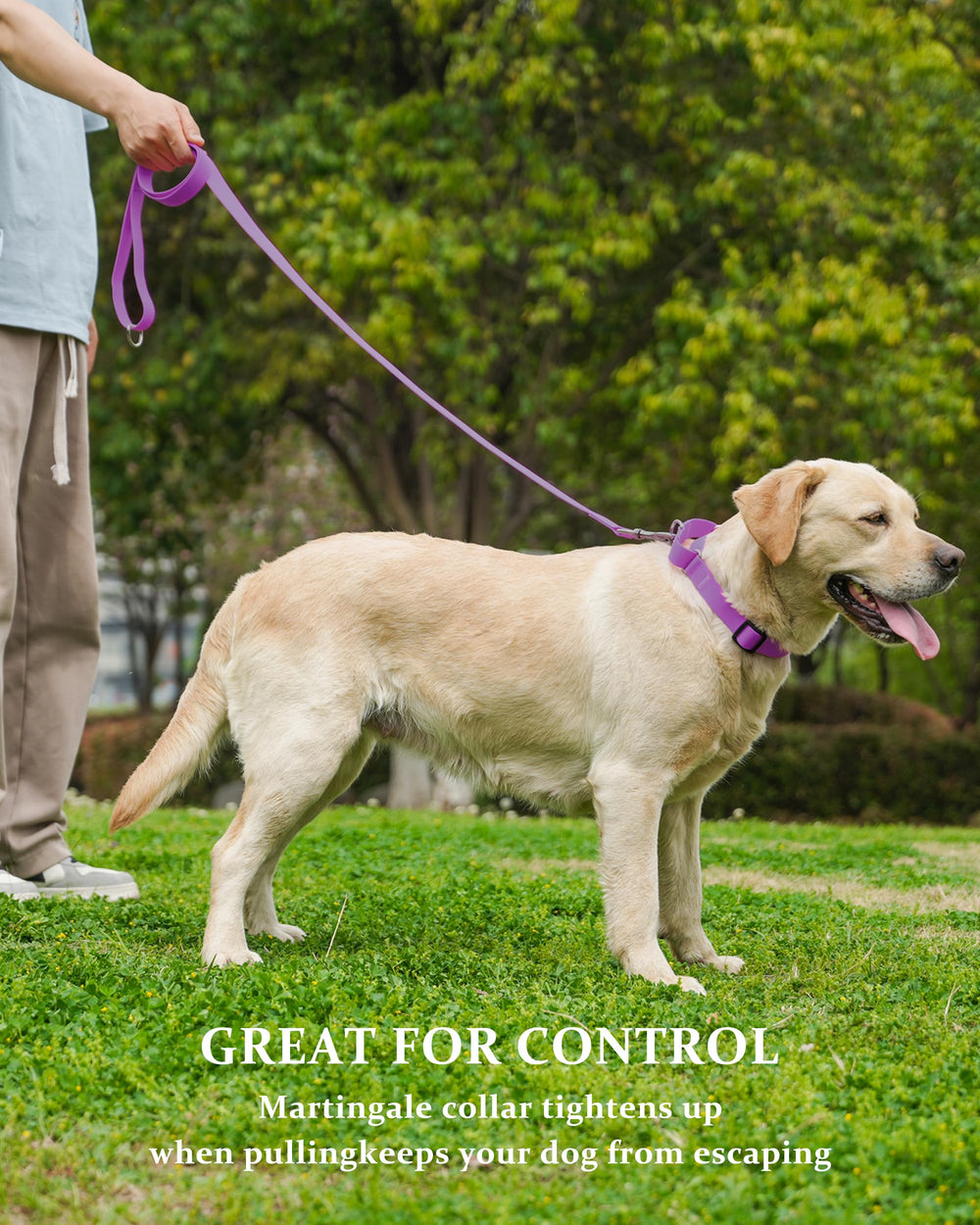 Kidding Pets training collar purple, ideal for leash manners and comfort