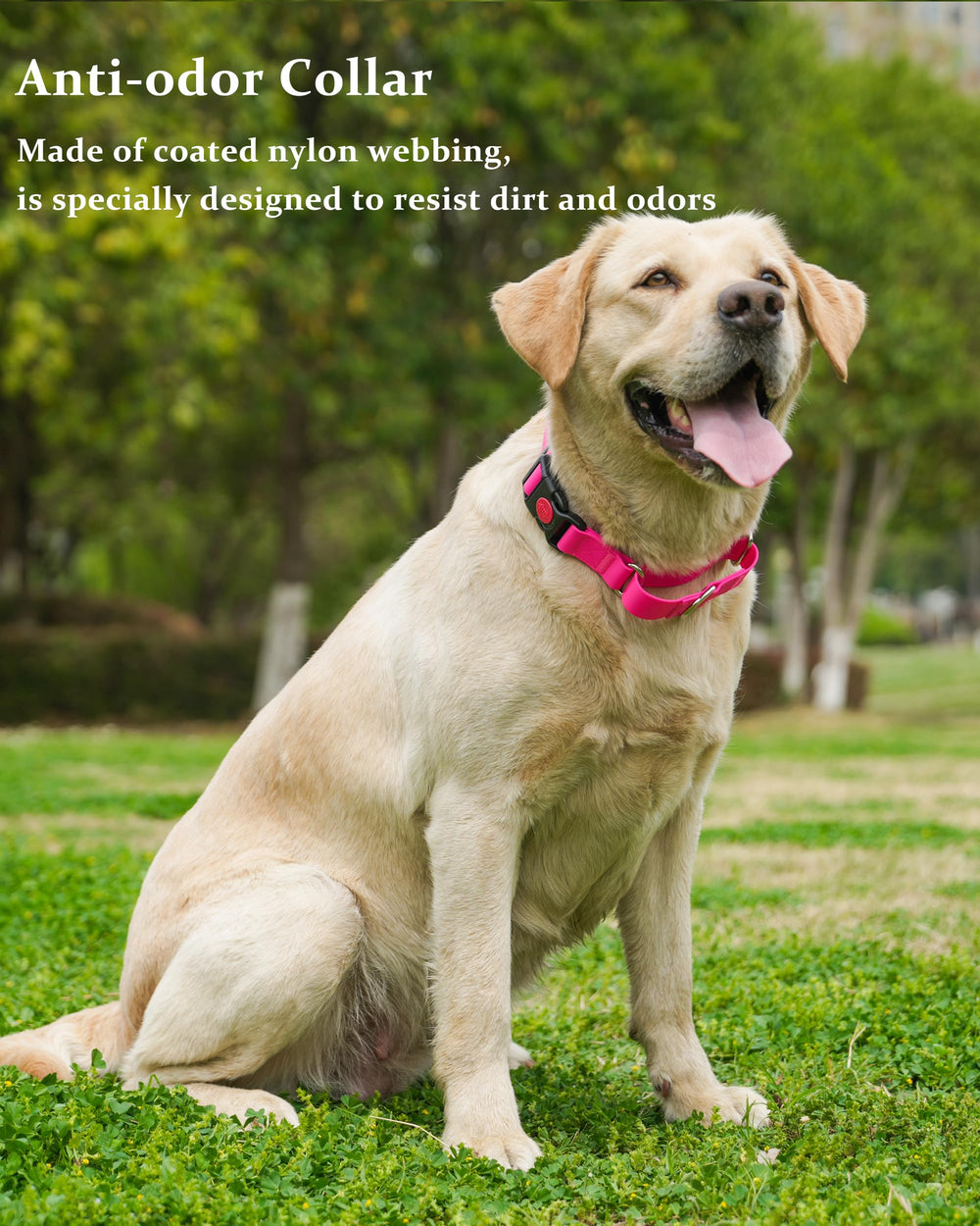 Kidding Pets waterproof coated nylon texture is durable