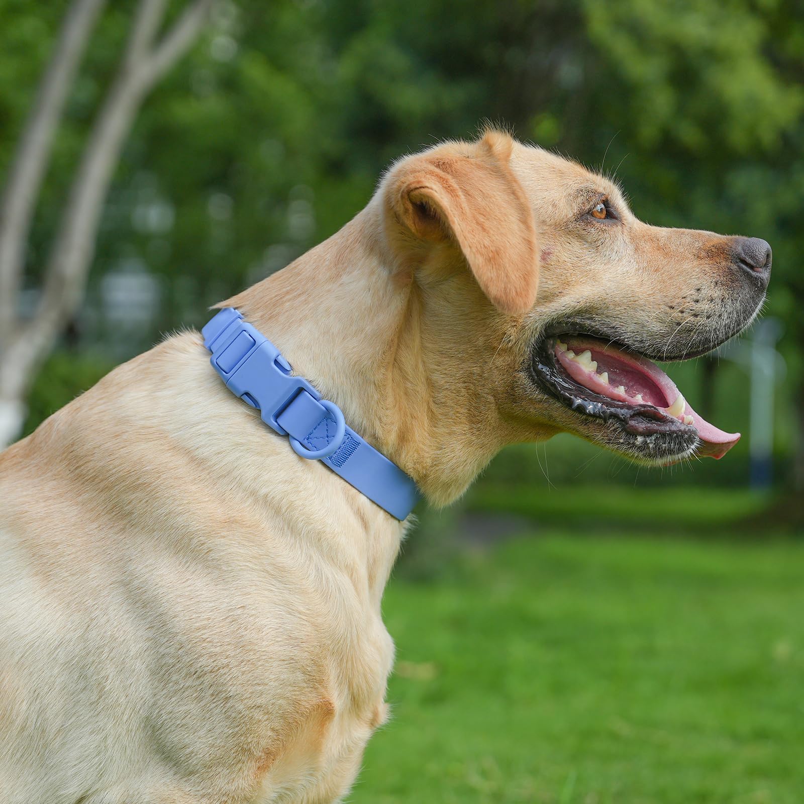 Kidding Pets waterproof collar being wiped clean, quick maintenance after muddy outings.