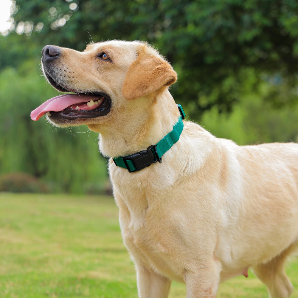 Kidding Pets dirt- and odor-resistant collar ideal for muddy outdoor adventures