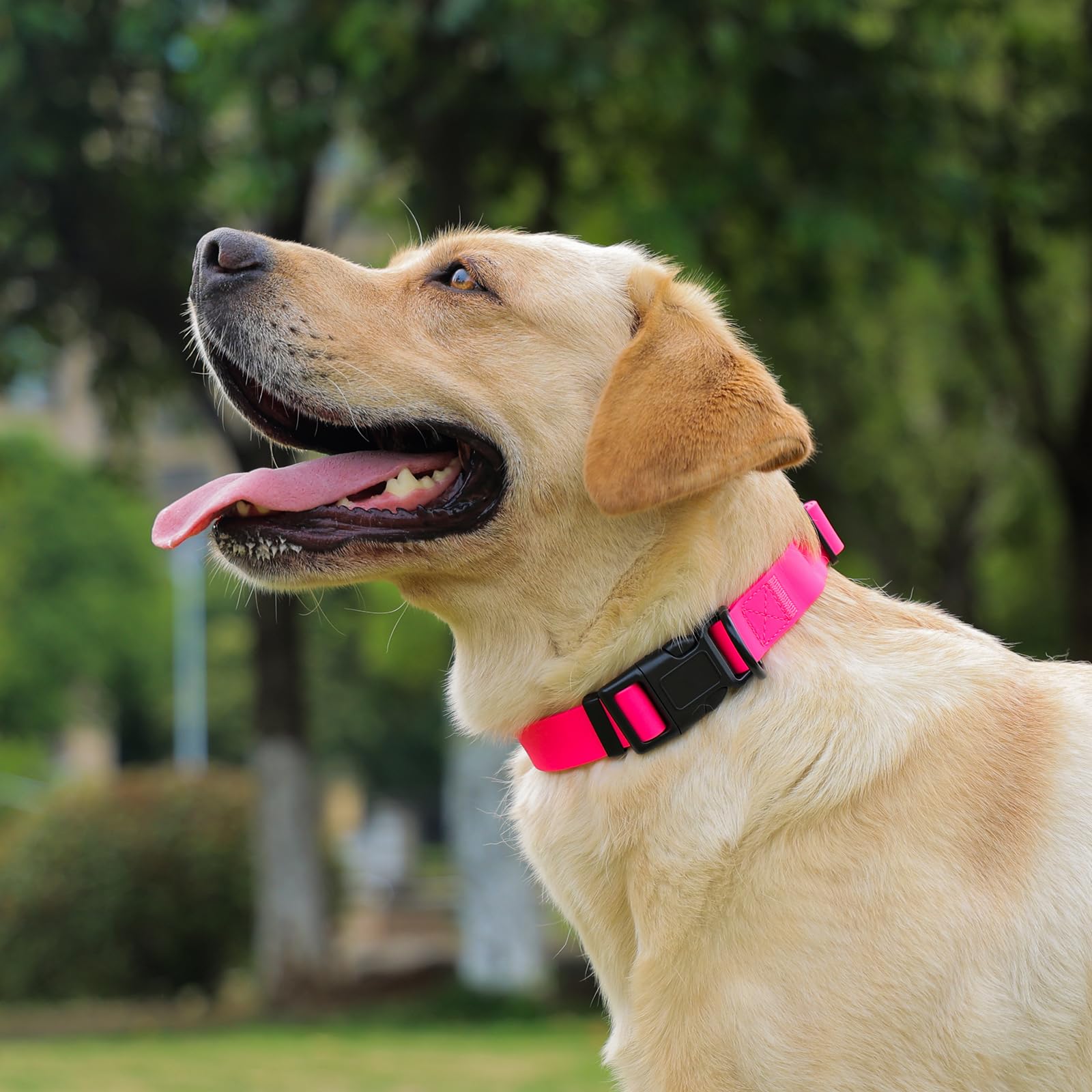 Kidding Pets multi-color sizing lets you pick the perfect fit.