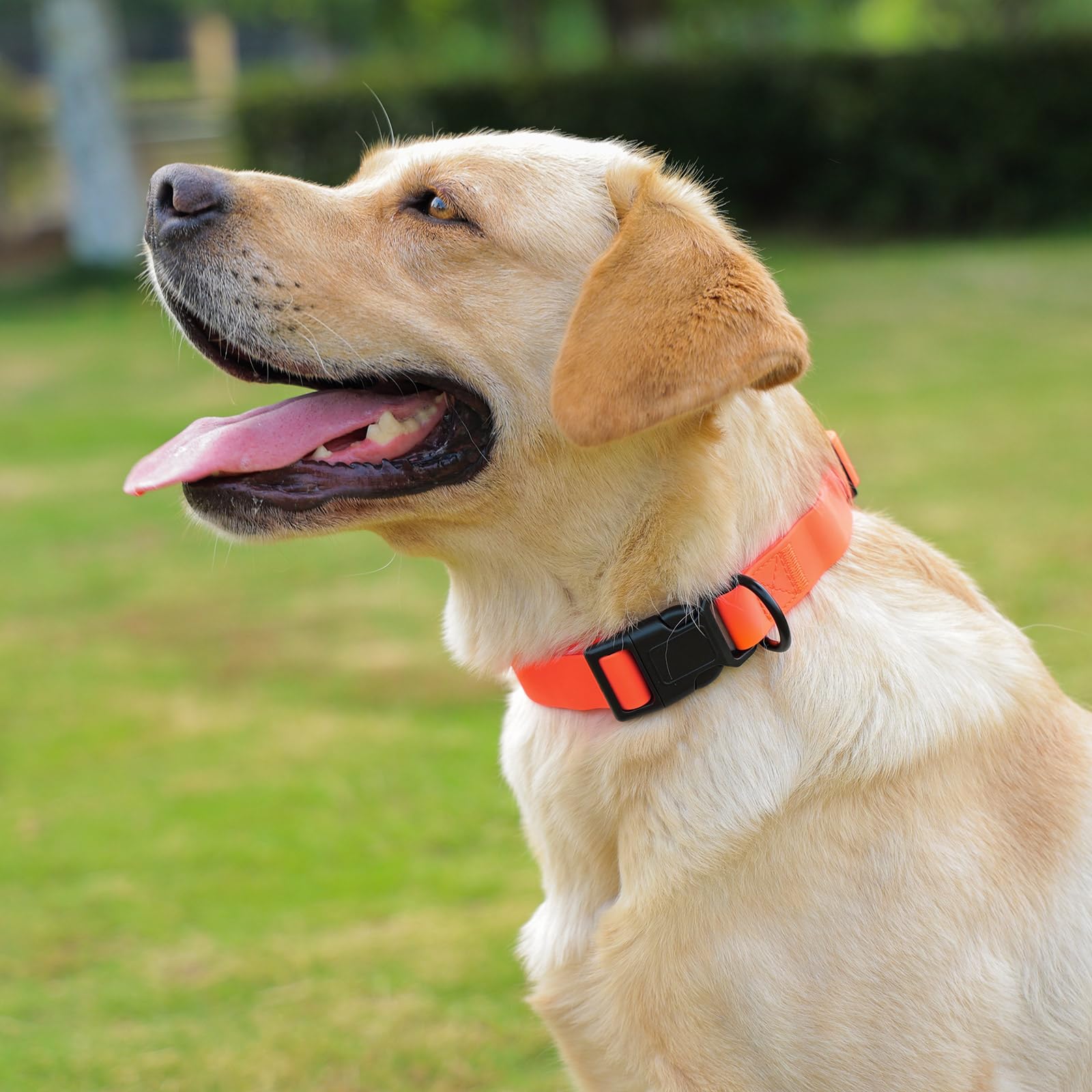 Kidding Pets three sizes ensure a comfortable fit for all dogs.