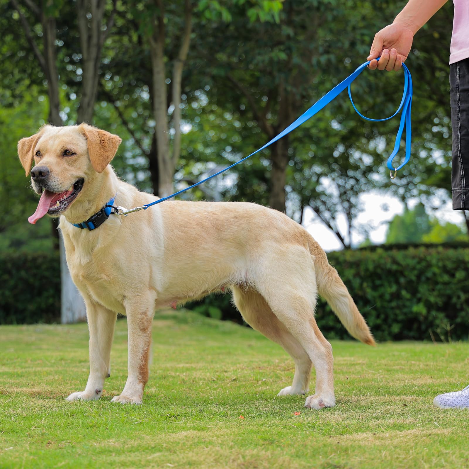 KIDDING PETS weatherproof leash ideal for everyday outdoor use and maintenance