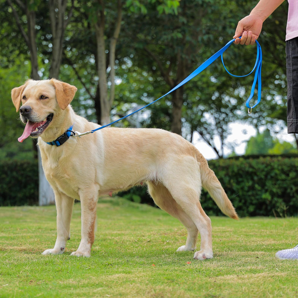 KIDDING PETS weatherproof leash ideal for everyday outdoor use and maintenance