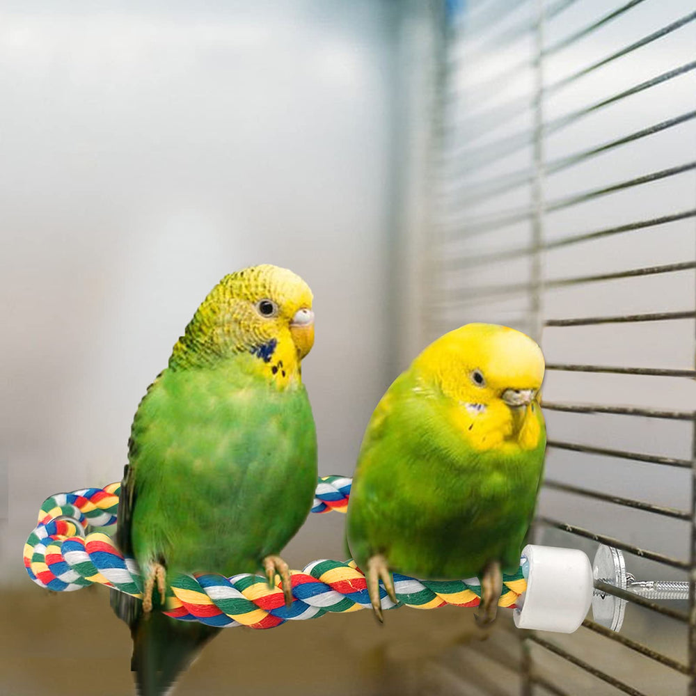 Kiddisie rope perch promotes athletic movement and engagement